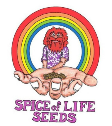 Spice of Life Seeds, US-Genetik, legal Cannabisseeds in Deutschland bestellen, Pre