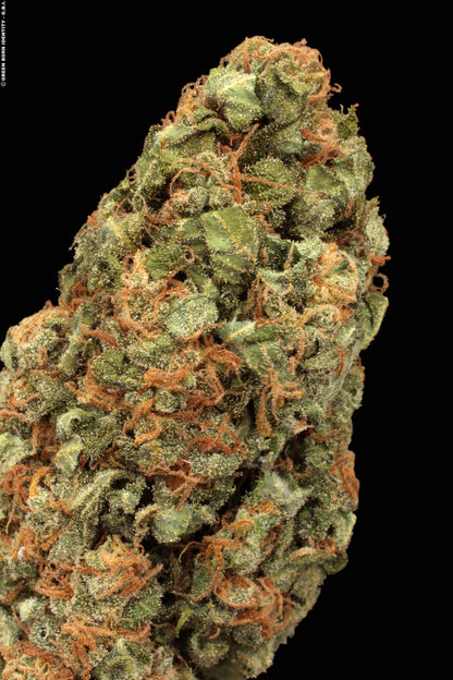Auto White Russian